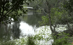 گردشگری استرالیا/سیدنی ...ایالت نیو ساوت ولز/ پارک ملی رویال ( Royal National Park ) )