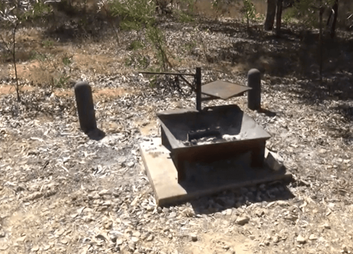 گردشگری استرالیا/منطقه قلمرو شمالی..Elsey National Park, NT/چشمه های آب گرم (Mataranka Thermal Pool and Rainbow Springs )