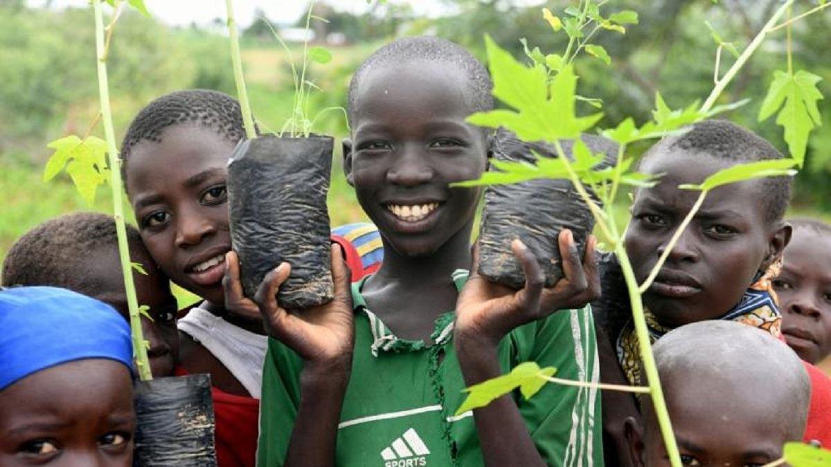 تبدیل بیابان به جنگل توسط پناهندگان در کامرون