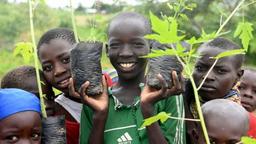 تبدیل بیابان به جنگل توسط پناهندگان در کامرون