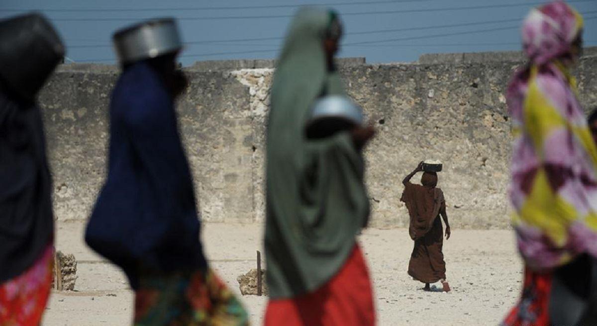 41 میلیون نفر در جهان در آستانه قطحی هستند