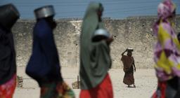 41 میلیون نفر در جهان در آستانه قطحی هستند