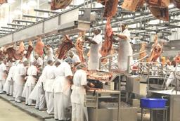 تعلیق صادرات گوشت از ایالت کوئینزلند استرالیا به چین