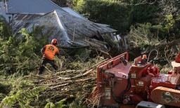 قطع برق 100هزار واحد مسکونی با وزش توفان در ویکتوریا