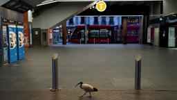 کدام محدودیت‌های کرونایی در قلمرو پایتختی استرالیا برداشته می‌شود؟