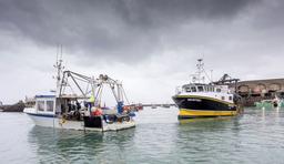 فرانسه خواستار پایان مناقشه ماهیگیری میان پاریس و لندن شد