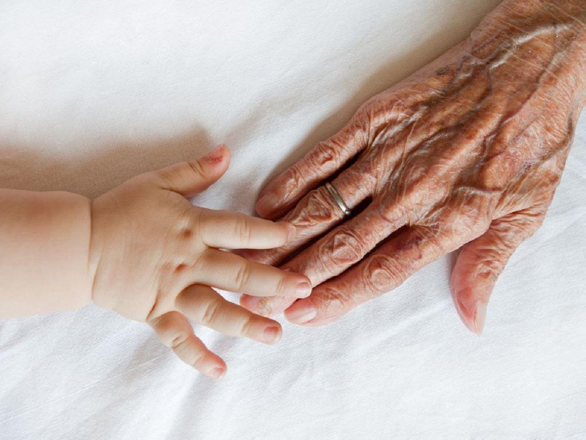 یافتن ماده شیمیایی ضد پیری توسط دانشمندان