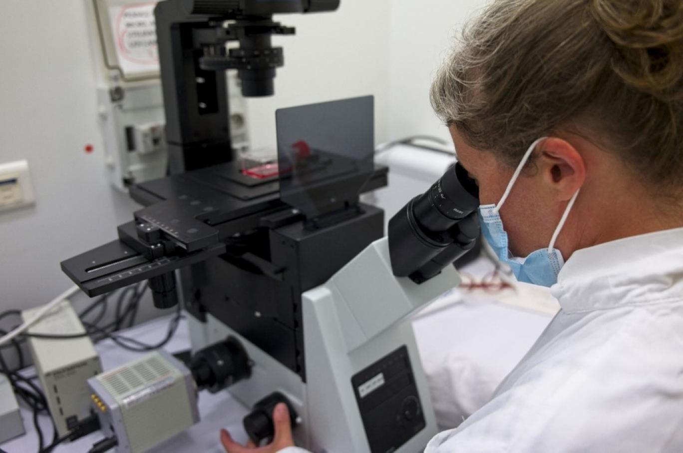 سرعت تکثیر اومیکرون در ریه 10 برابر کمتر از واریانت اولیه کرونا