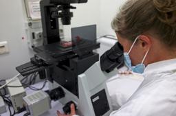 سرعت تکثیر اومیکرون در ریه 10 برابر کمتر از واریانت اولیه کرونا