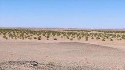 نابودی تمام جنگل‌های ایران تا 50 سال آینده