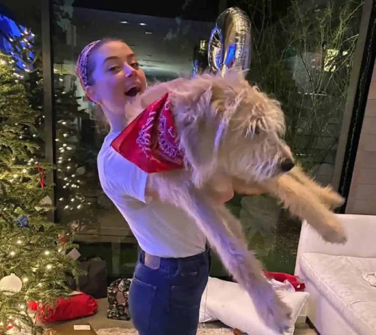 نام‌گذاری سگ بازیگر هالیوودی هم اسم معاون نخست‌وزیر استرالیا