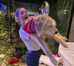 نام‌گذاری سگ بازیگر هالیوودی هم اسم معاون نخست‌وزیر استرالیا