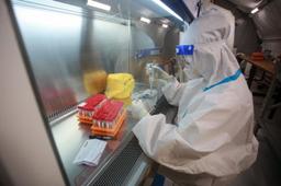 شناسایی پادتن‌هایی که ویروس اومیکرون را خنثی می‌کند