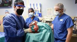 نخستین پیوند قلب خوک به انسان در آمریکا انجام شد