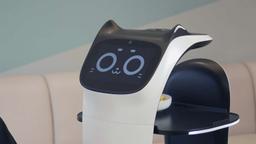 ربات‌ها کمبود نیروی کار در سیدنی را جبران می‌کنند