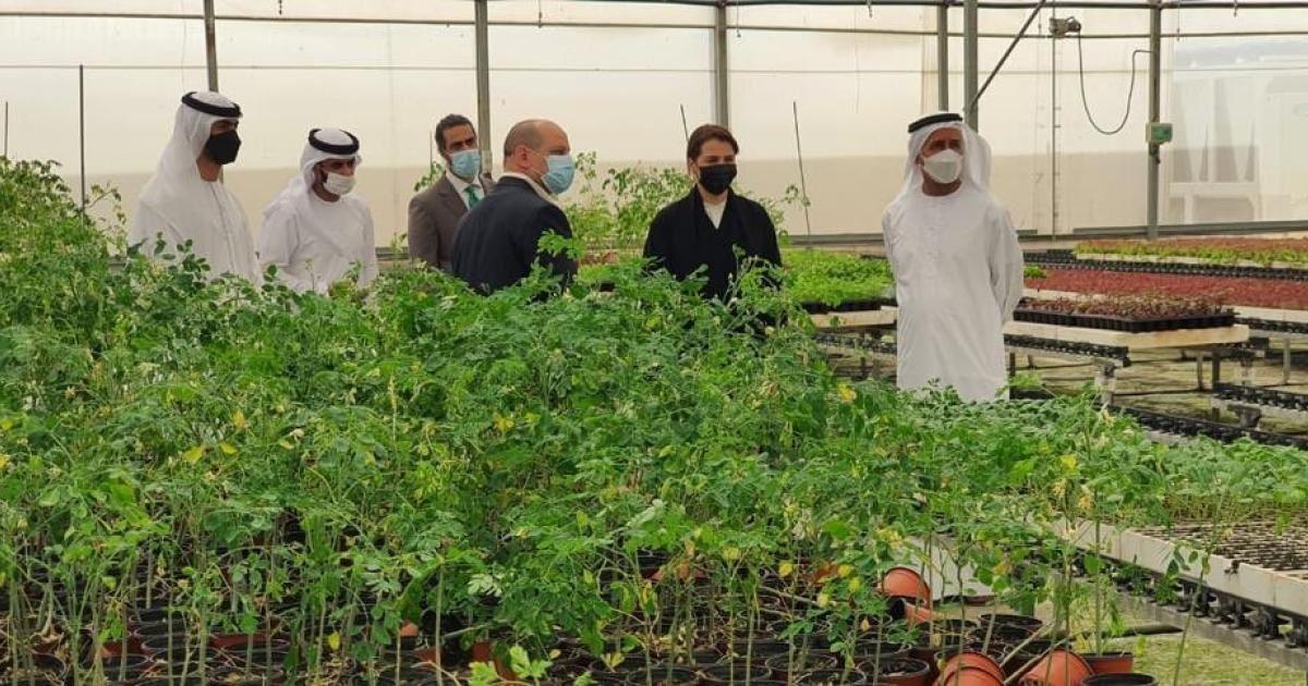 همکاری امارات، اردن و هلند برای تولید میوه در بیابان