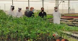 همکاری امارات، اردن و هلند برای تولید میوه در بیابان