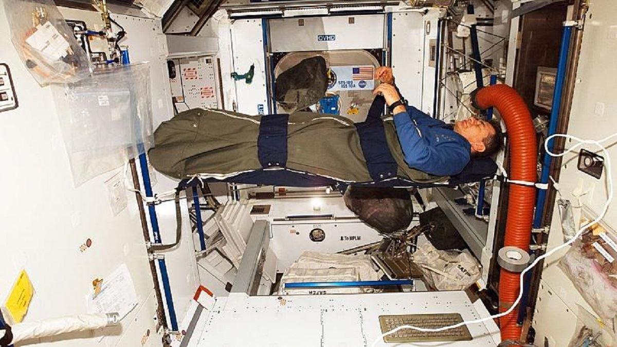 خواب خرسی فضانوردان برای کاهش هزینه‌های سفر به مریخ