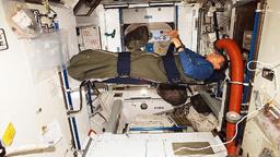 خواب خرسی فضانوردان برای کاهش هزینه‌های سفر به مریخ