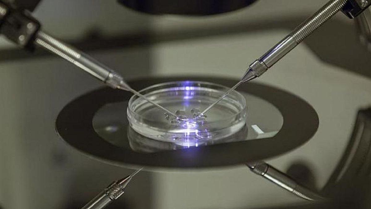 رسوایی پزشک هلندی برای استفاده از اسپرم خود در 21 مورد لقاح مصنوعی