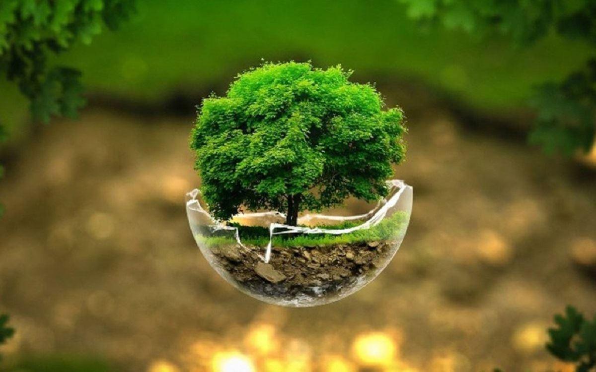 ایران رتبه شصت‌ودوم جهان در شاخص حفاظت از محیط زیست