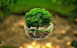 ایران رتبه شصت‌ودوم جهان در شاخص حفاظت از محیط زیست