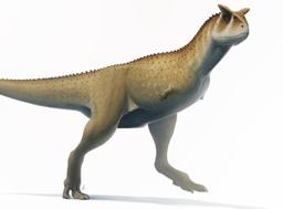 کشف جمجمه گونه‌ای نامعمول از دایناسورها