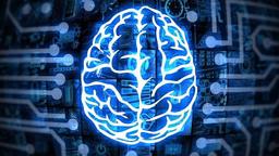 مغز انسان در لحظات آخر نزدیک به مرگ چه عملکردی دارد؟