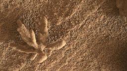 کشف شی عجیب در سطح مریخ توسط کاوشگر کنجکاوی