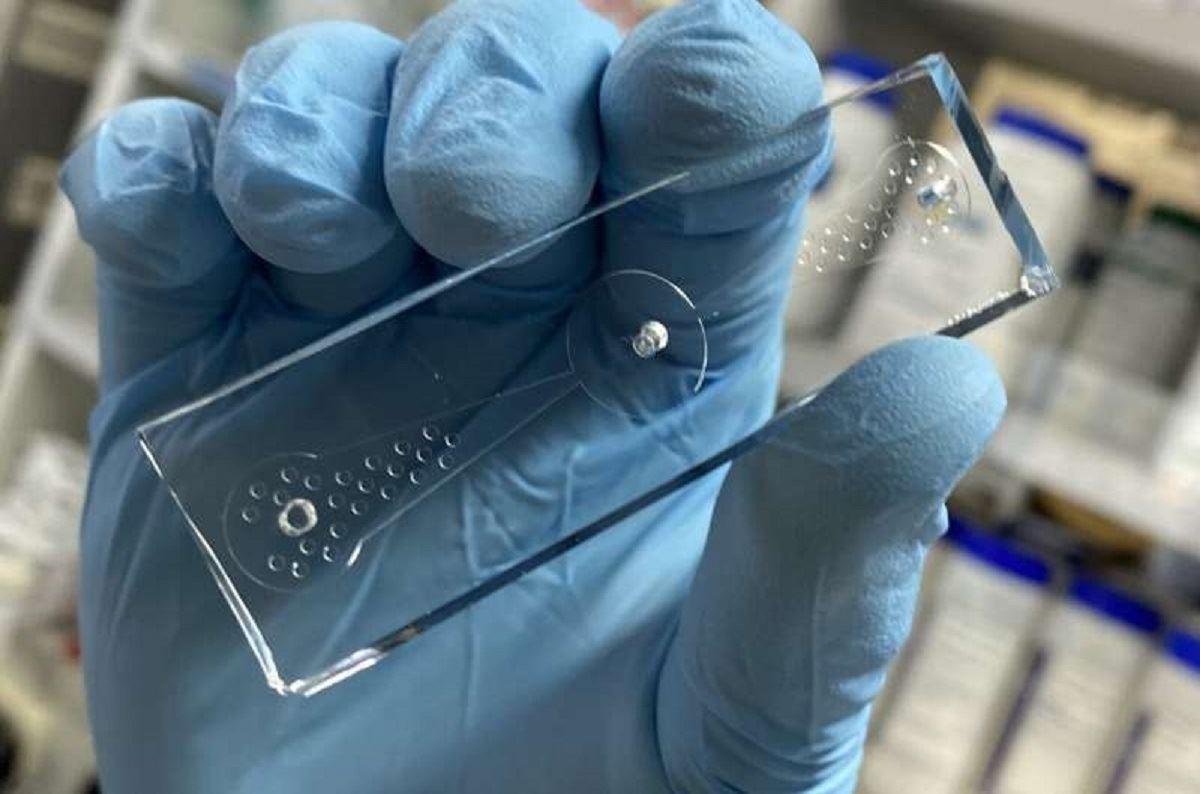 تشخیص سرطان این‌بار با کمک کرم‌ها