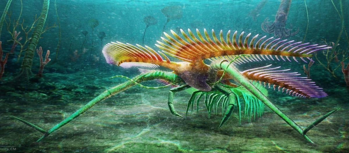 کشف فسیل یک موجود باستانی عجیب و ترسناک بدون چشم