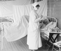 سویه‌های جدید آنفلوآنزا از نسل ویروس همه‌گیری سال 1918 است