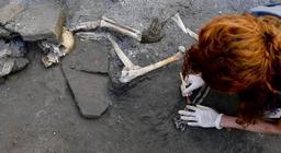 دی‌ان‌ای ایرانی در بقایای اسکلت کشف شده در شهر باستانی پمپئی