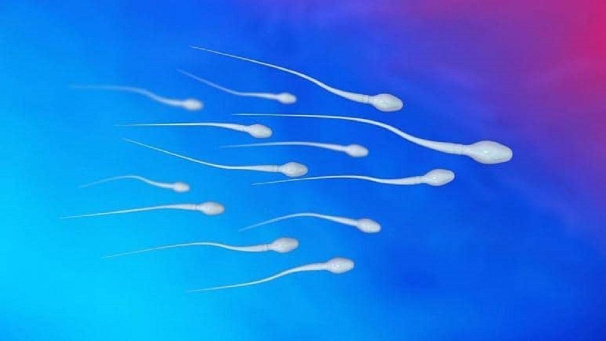 آلاینده‌های شیمیایی باعث کاهش تعداد اسپرم در مردان