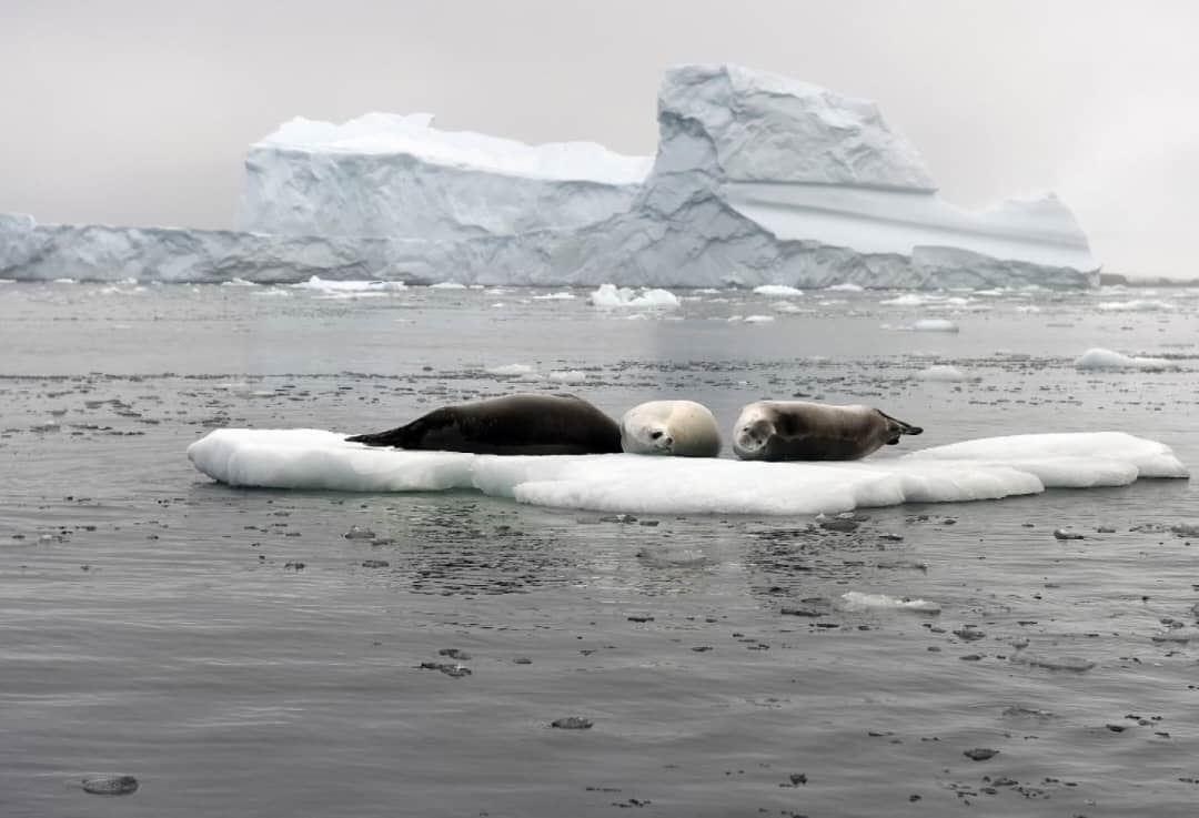 تغییر آب‌وهوا در اروپا با کاهش سطح اوزون در قطب شمال