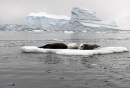 تغییر آب‌وهوا در اروپا با کاهش سطح اوزون در قطب شمال