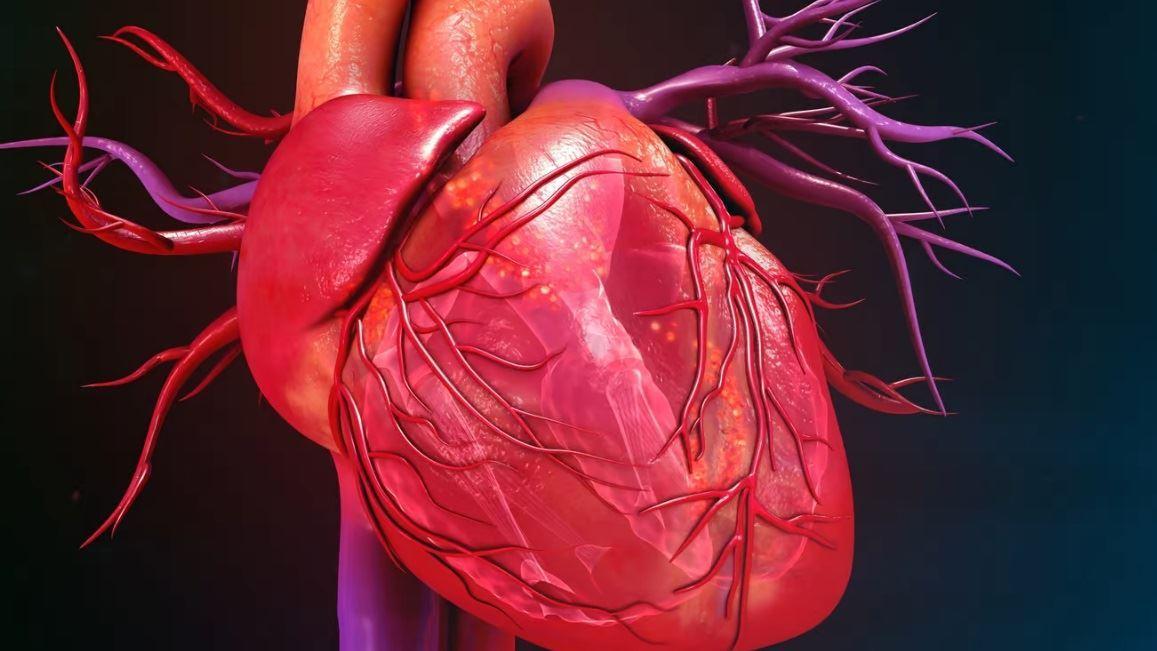 درمان بیماری‌های قلبی ژنتیکی از طریق بازنویسی DNA