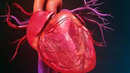 درمان بیماری‌های قلبی ژنتیکی از طریق بازنویسی DNA