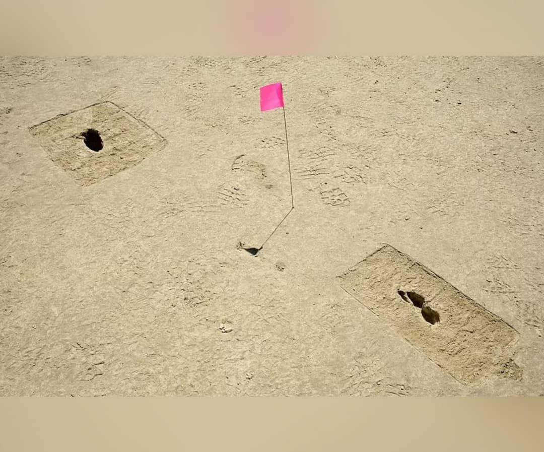 اطلاعات تازه در مورد انسان‌های اولیه با کشف 88 اثر فسیل رد پا