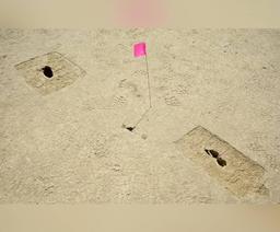 اطلاعات تازه در مورد انسان‌های اولیه با کشف 88 اثر فسیل رد پا