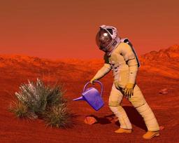 احتمال رشد دانه های یونجه در خاکی مشابه مریخ