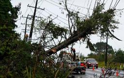 وقوع زلزله 6 ریشتری، پس طوفان استوایی در نیوزیلند