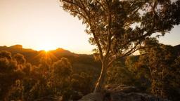 انقلاب زمستانی چیست و چه زمانی در استرالیا رخ می‌دهد؟