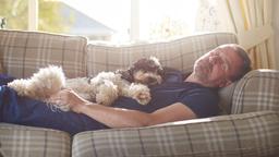 عادت به خواب نیمروز، به استرالیایی‌ها در تحمل گرما کمک کند