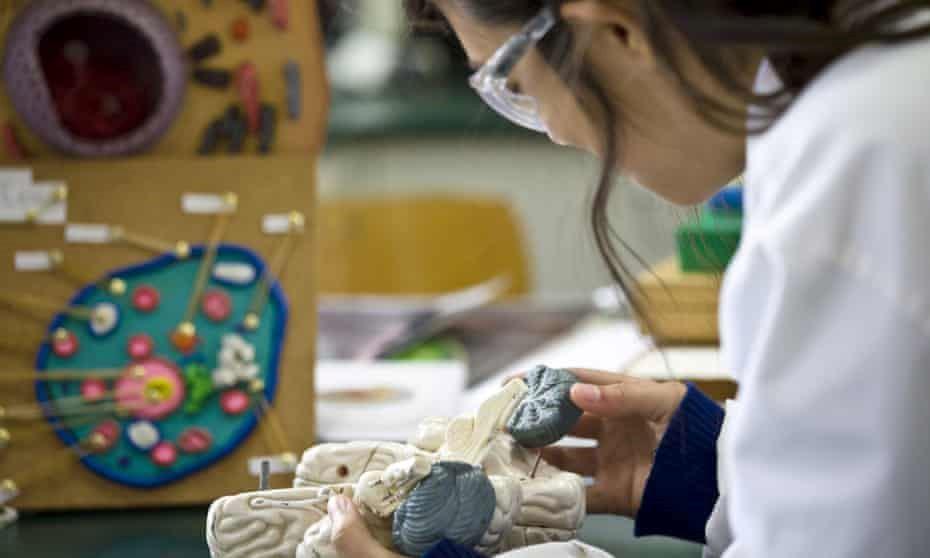 جای خالی دانشمندان زن در برنامه‌های درسی دوره دبیرستان در استرالیا