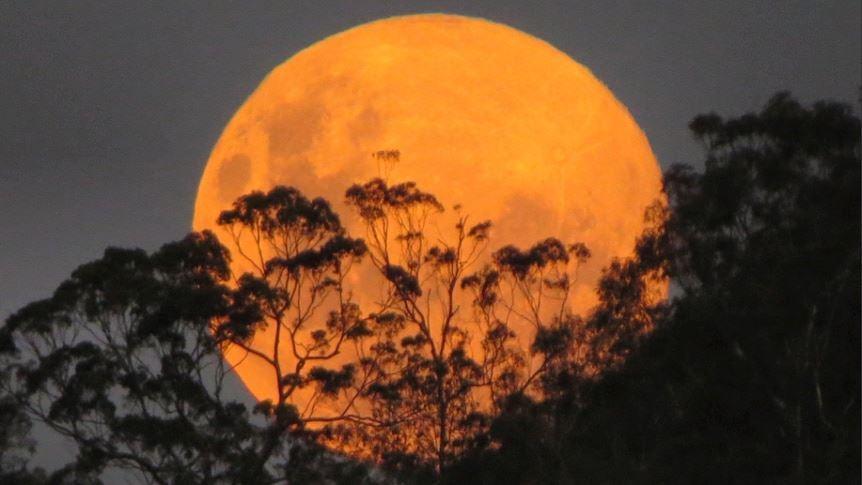 بهترین زمان تماشای پدیده نادر ابرماه آبی 30 آگوست در استرالیا