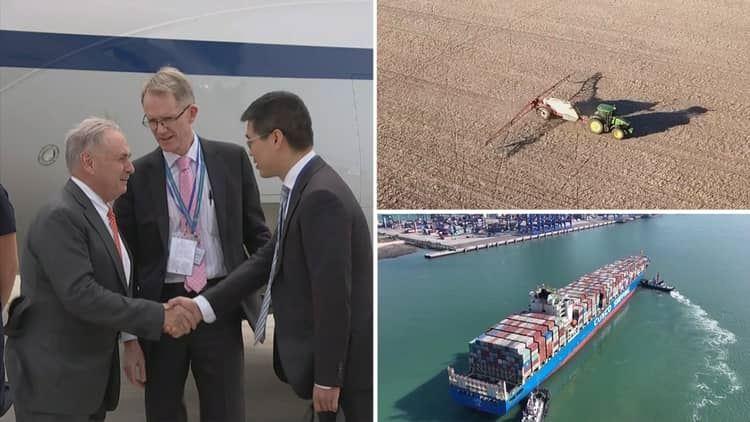 از سرگیری صادرات یونجه از استرالیا به چین