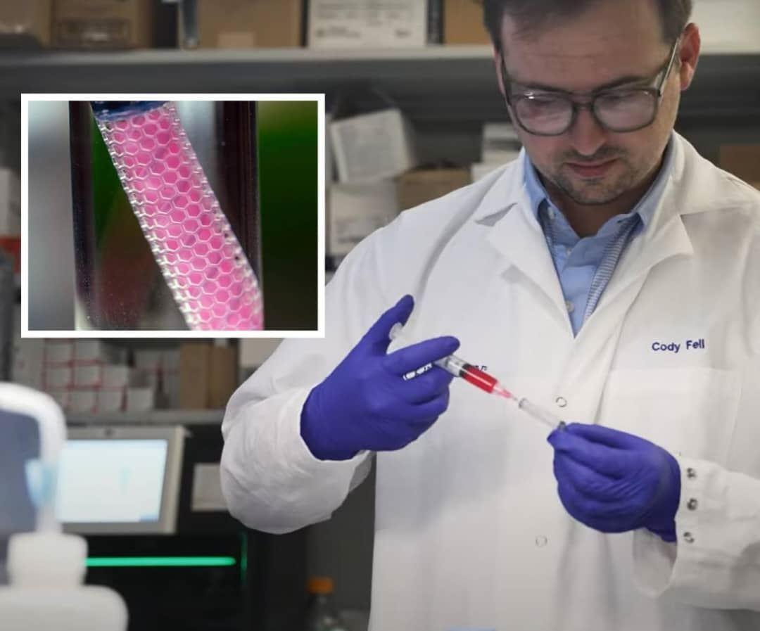 ساخت ابزاری کوچک که سرطان را شناسایی و درمان می‌کند 