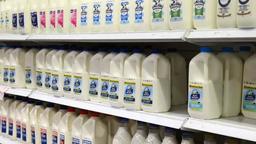 اعتصاب کارگران بخش لبنیات در ویکتوریا طی هفته جاری