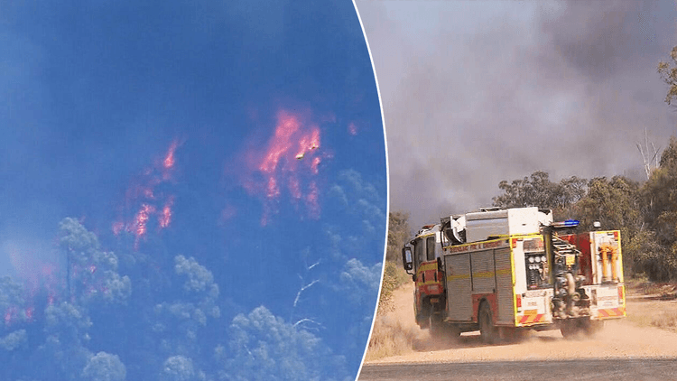 تشدید خطرات آتش سوزی جنگل در مناطق مختلف کوئینزلند